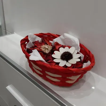 Lena Apartman Umag
